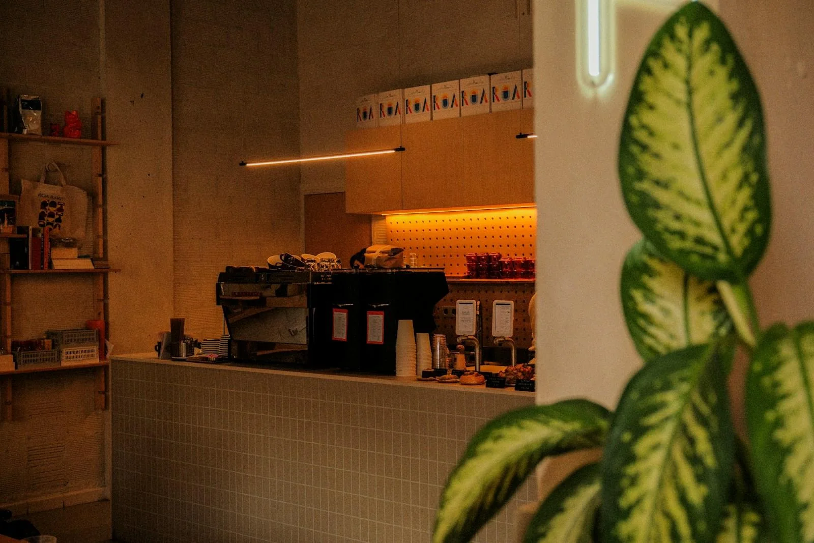 Warm coffee shop counter with espresso machine and foreground plant